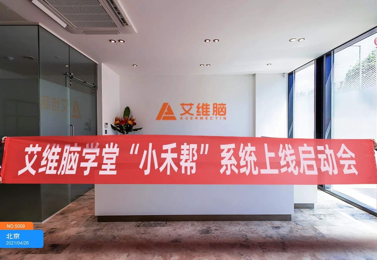 为什么<a href=